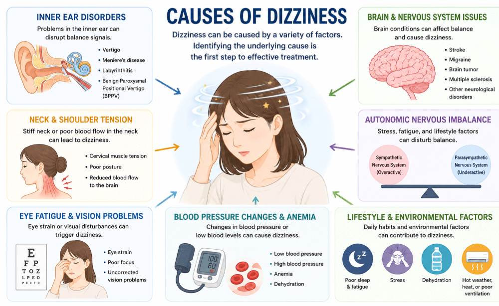 Common causes of dizziness including the inner ear, brain, vision, and balance systems